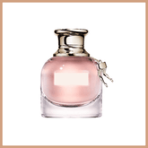 Scandal Fragrance Oil - Craftovator